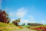 ethumb/323wilsonhill rd.jpg